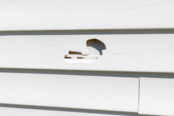 Trusted Clinton, PA Junk Removal Experts